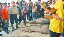 渔民进台湾吃瓜视频大全,一场别开生面的吃瓜盛宴