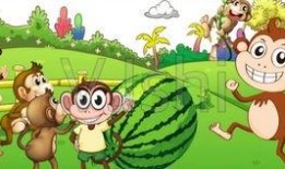 猴子吃大老瓜视频播放