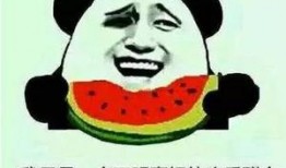 一站到底吃瓜群众视频