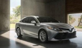 凯美瑞吃瓜视频