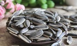 丑瓜的瓜子可以吃吗视频,揭秘可食用瓜子的神奇魅力