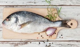 吃大瓜鱼的视频,一场视觉盛宴的美食之旅