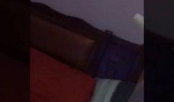 用骚瓜做东西吃的视频,创意料理新尝试