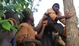 吃瓜返祖现场视频下载