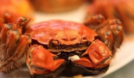 大瓜吃大螃蟹视频大全下载,海量精彩瞬间，一键下载收藏