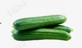 云南吃瓜视频下载,探寻云南美食的独特魅力