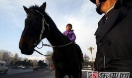 街头骑马吃瓜视频,骑马吃瓜，现代都市的另类风情