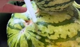 吃瓜视频 搞笑片,搞笑片带你领略欢乐无限