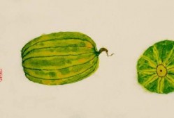 qq吃瓜黄料视频图文,图文并茂的娱乐圈幕后故事