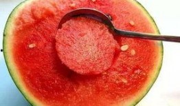 郑州八卦群吃瓜视频,揭秘吃瓜视频背后的热点事件