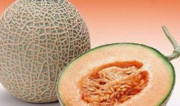 生病吃哈密瓜视频大全,生病食疗视频大盘点