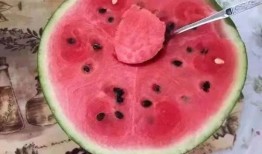 蜜瓜可以挖着吃吗视频,挖着吃的神奇体验