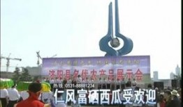 泉城广场吃瓜事件视频,一场引发热议的街头冲突瞬间