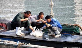 中国渔民吃瓜被抓视频,维权与争议并存