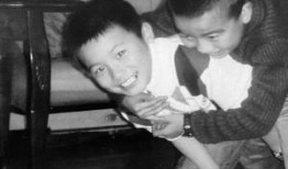 吃瓜神探剧情介绍大全视频,揭秘剧情高潮迭起，探案悬疑一网打尽