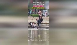 吃瓜群众戏曲版视频