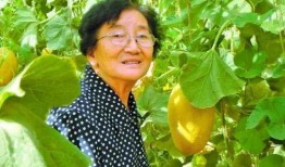 三位教授吃瓜视频,趣味横生，知识碰撞