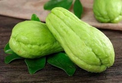 贺子吃佛手瓜的视频,美味与健康的完美邂逅