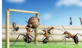 蚂蚁吃瓜手工制作视频教程,轻松制作可爱瓜果造型