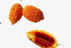 吃瓜视频头像图片高清,高清吃瓜视频头像，带你领略视觉盛宴