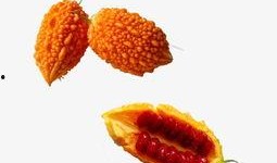 吃瓜视频头像图片高清,高清吃瓜视频头像，带你领略视觉盛宴