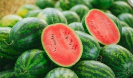 薄壳瓜怎么吃最好吃视频