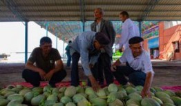 三乡吃瓜群众事件视频,一场引发热议的网络围观