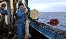 舟山渔民吃瓜事件视频曝光,揭秘渔民真实生活与网络舆论风暴