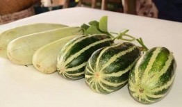 各种网红吃瓜视频,盘点那些让人捧腹的瓜界风云