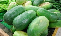 火银瓜的种子可以吃吗视频,揭秘可食用之谜