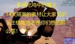 吃鸡呆瓜视频,趣味横生的搞笑吃鸡日常