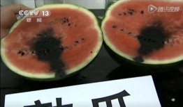 什么瓜没虫吃还能吃呢视频,揭秘无虫害瓜果的奥秘