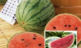 什么瓜犯忌讳吃的呢视频,哪些“禁忌”瓜果不宜食用，视频带你一探究竟
