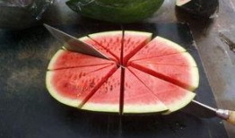 吃瓜的成精视频,揭秘吃瓜成精的奇幻之旅