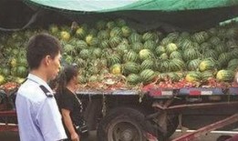 庄河网红吃瓜事件视频,一场网络狂欢背后的真相揭秘