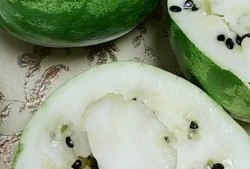 东北吃雪瓜视频,雪瓜冰爽之旅