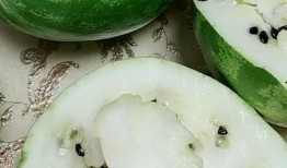 东北吃雪瓜视频,雪瓜冰爽之旅