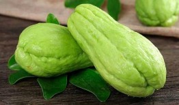 宁德吃瓜视频号,揭秘当地美食与趣事